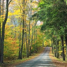 Схема вышивки «лесная дорога»