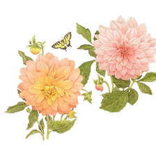 Схема вышивки «цветы»