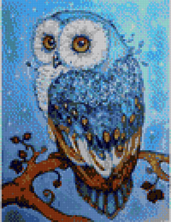 Сова - сова, птицы - предпросмотр