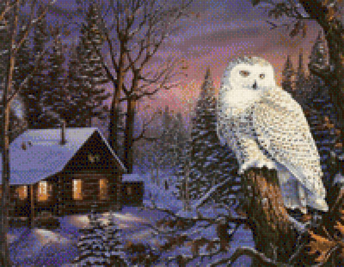 Сова - птицы, сова - предпросмотр