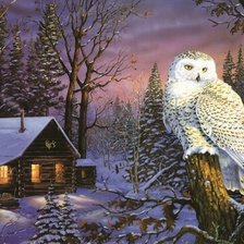 Схема вышивки «Сова»