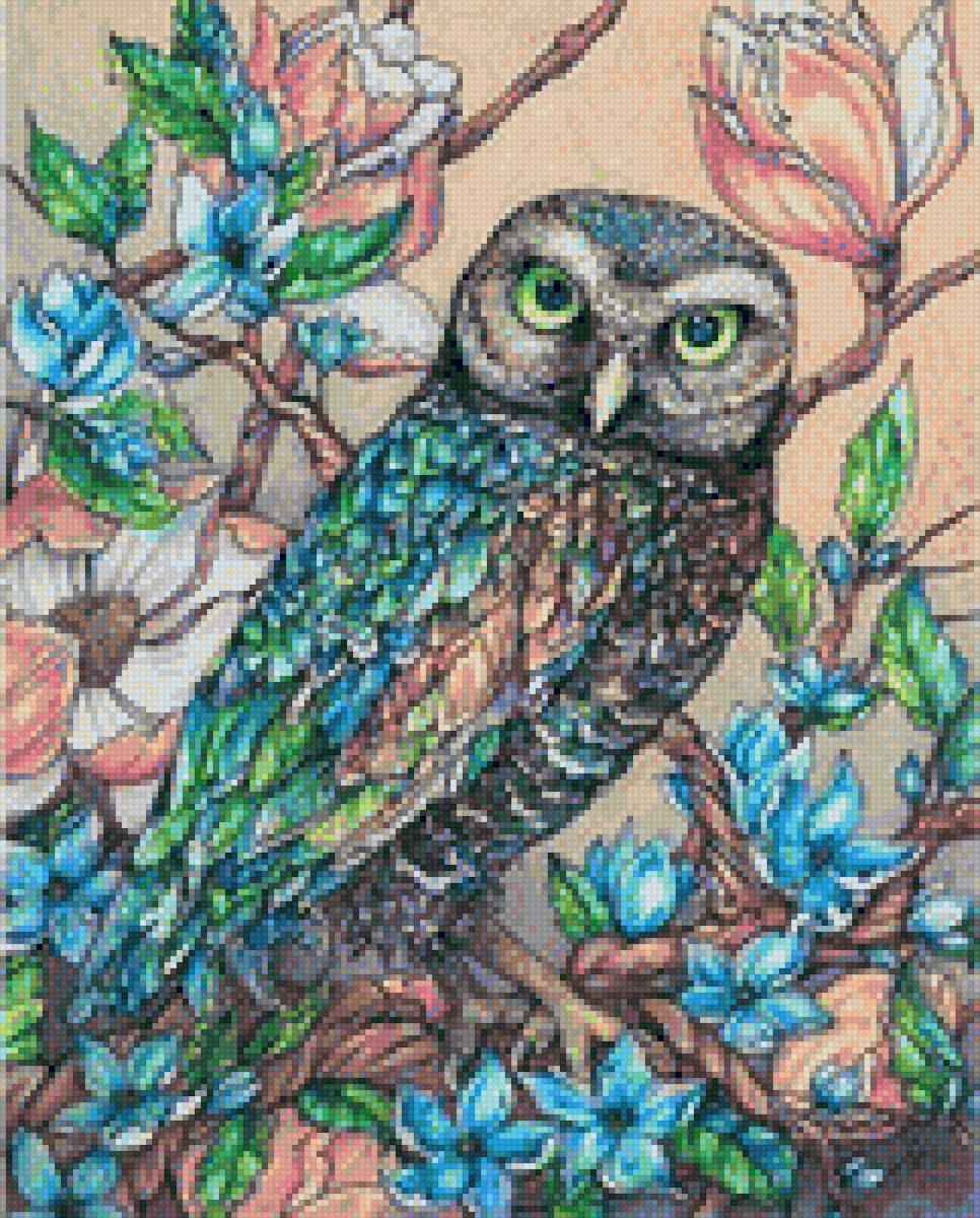 Сова - сова, птицы - предпросмотр