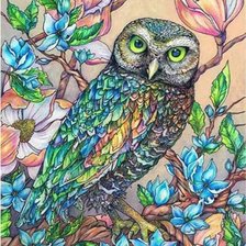 Схема вышивки «Сова»
