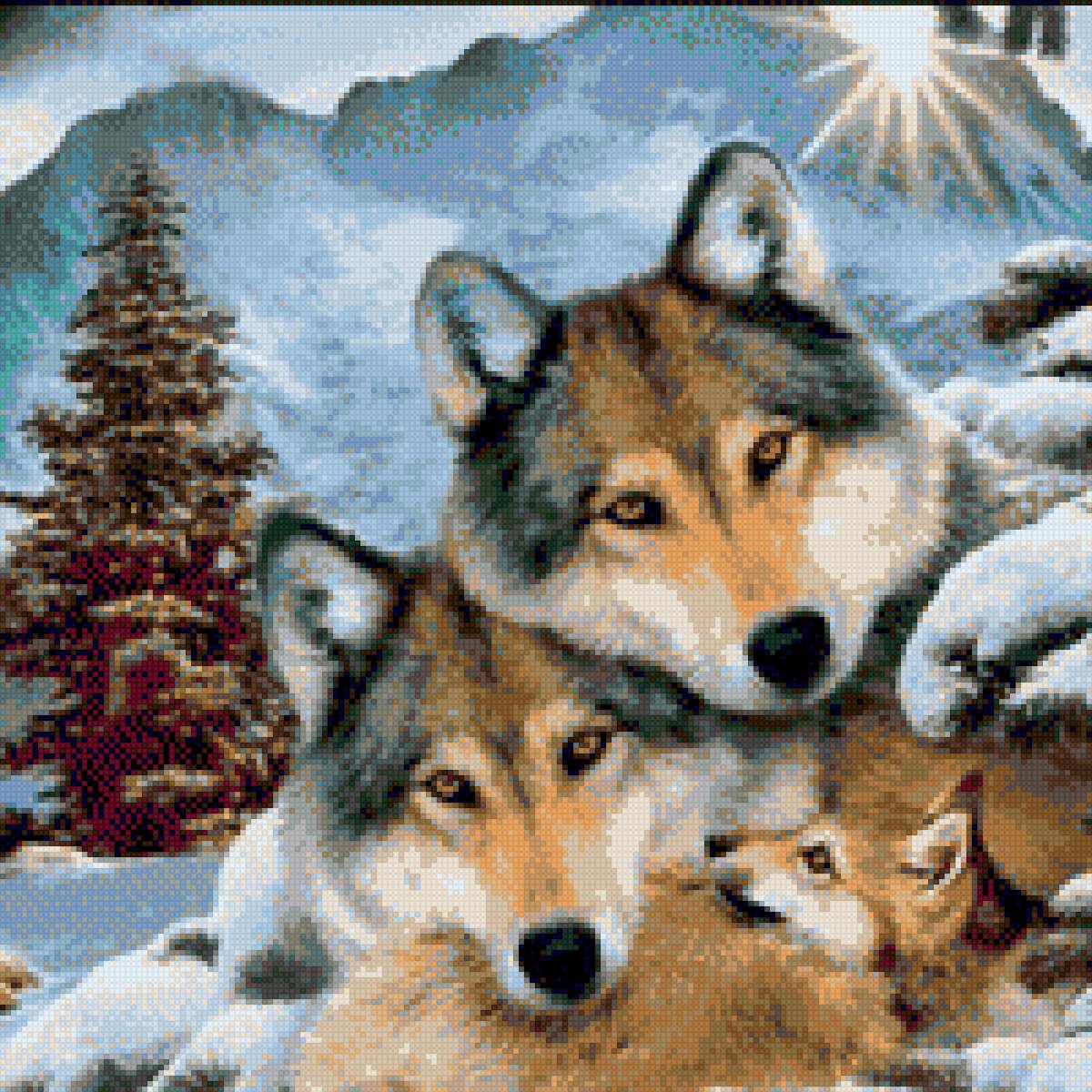 Волки - звери, семья, животные, волк - предпросмотр