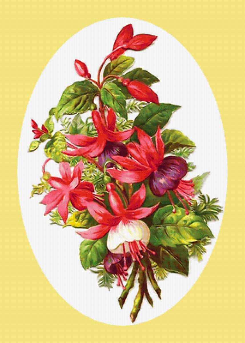 Серия "Фуксия" - фуксия, флора, цветы - предпросмотр