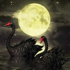 Схема вышивки «Лебеди под луной»