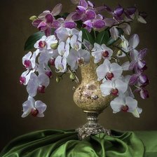 Схема вышивки «ОРХИДЕЯ»