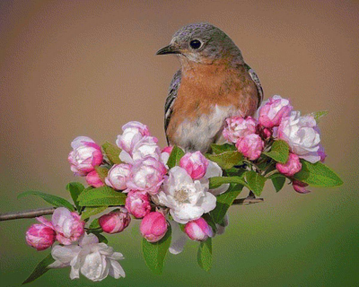 ЯБЛОНЕВЫЙ ЦВЕТ C ПТИЦОЙ - натюрморт с цветами, яблоневый цвет c птицой - предпросмотр