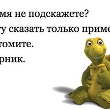 Схема вышивки «черепаха»