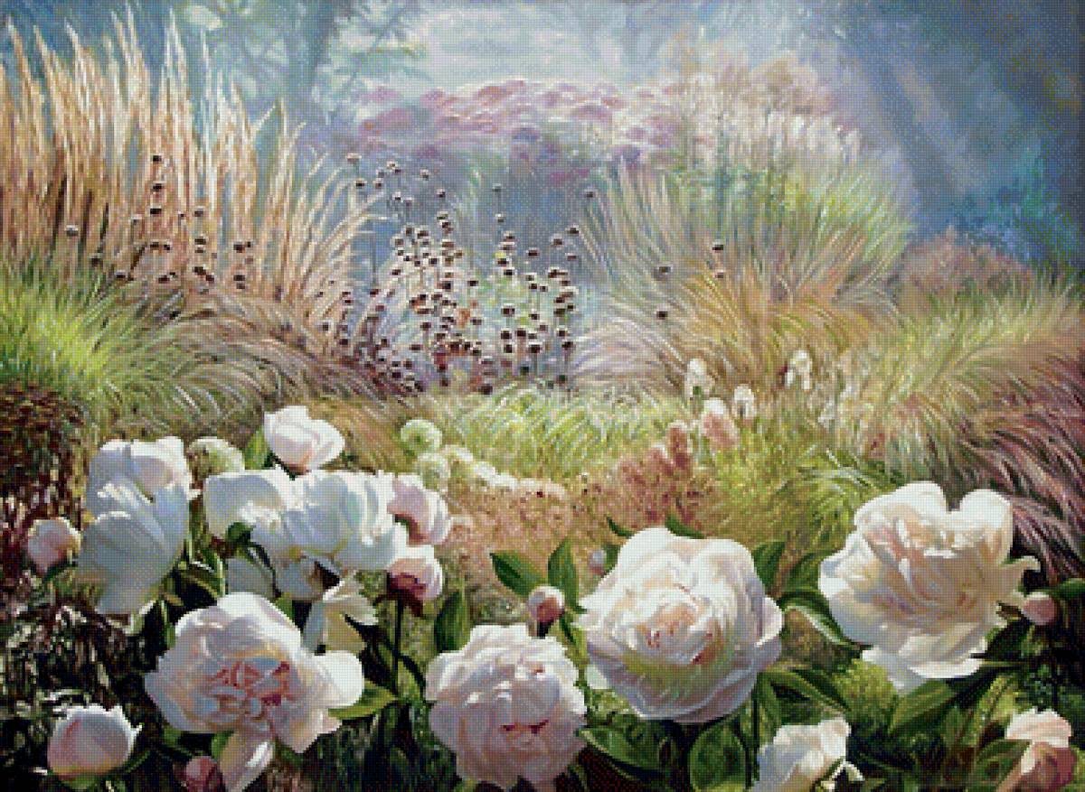 Пионы в саду. - сад, природа, пейзаж, цветы - предпросмотр