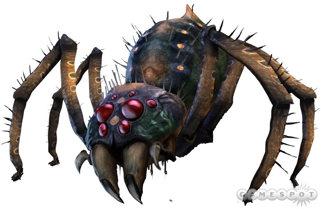 паук - паук - оригинал