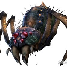 Схема вышивки «паук»