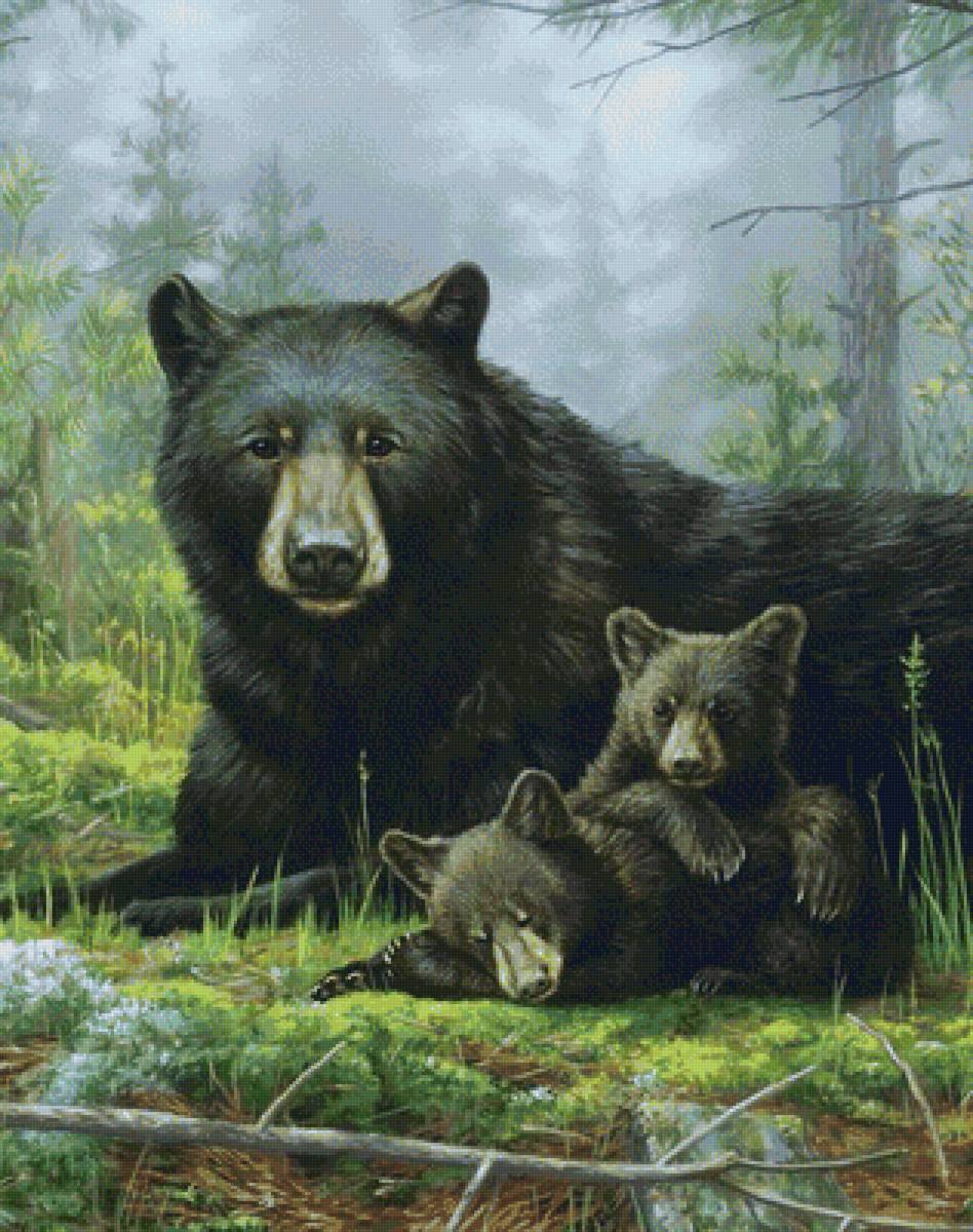 дикие - предпросмотр