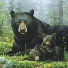 Схема вышивки «дикие»