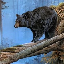 Схема вышивки «дикие»