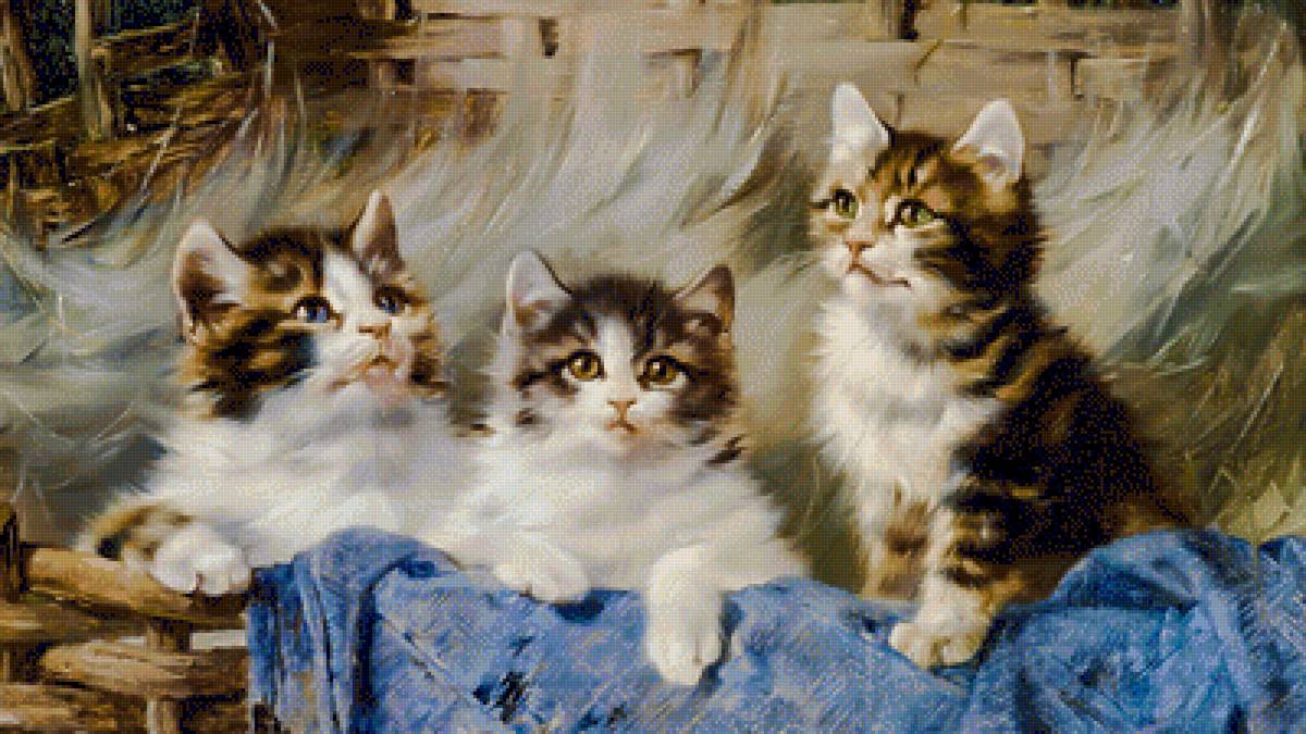 Three kittens. - animals. - предпросмотр
