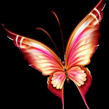 Схема вышивки «бабочкаб»