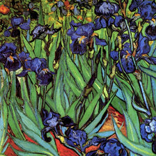Схема вышивки «Ван Гог Ирисы»