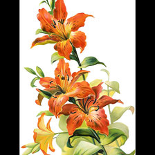 Схема вышивки «Лилия.»