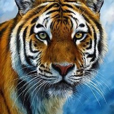 Схема вышивки «дикие»