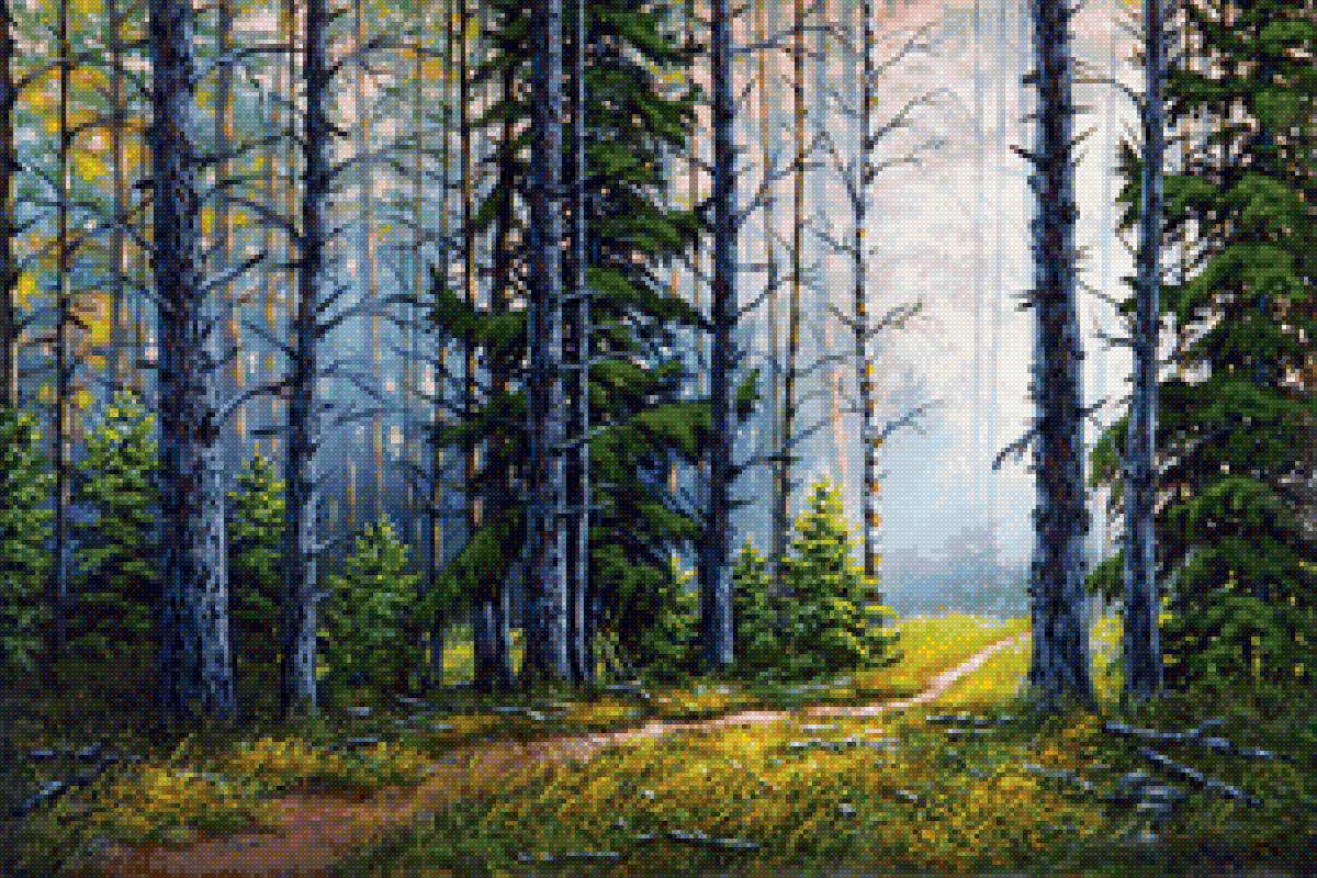 Лес - елки, деревья, лесная тропинка - предпросмотр