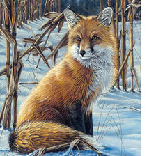 Схема вышивки «Лиса»