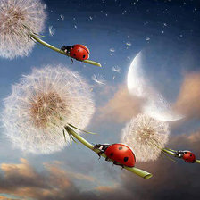 Схема вышивки «№1974460»