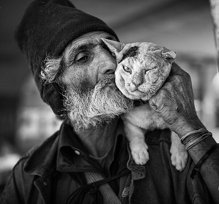 Последние ангелы на Земле - мужчина с котом, кот, животное, старик, мудрость - оригинал