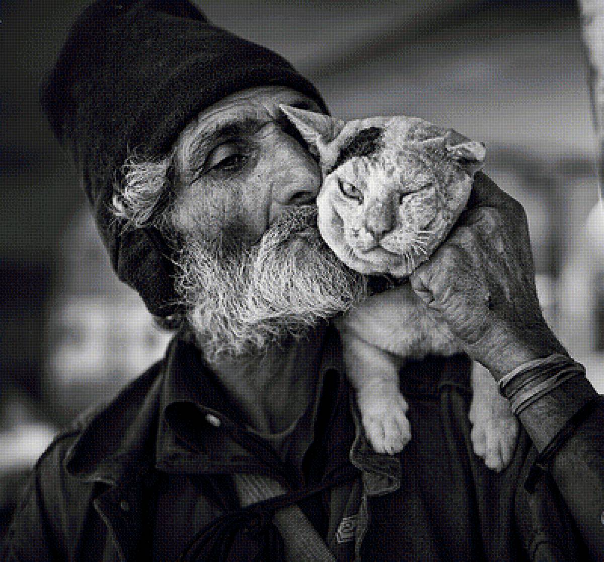 Последние ангелы на Земле - мудрость, старик, животное, кот, мужчина с котом - предпросмотр