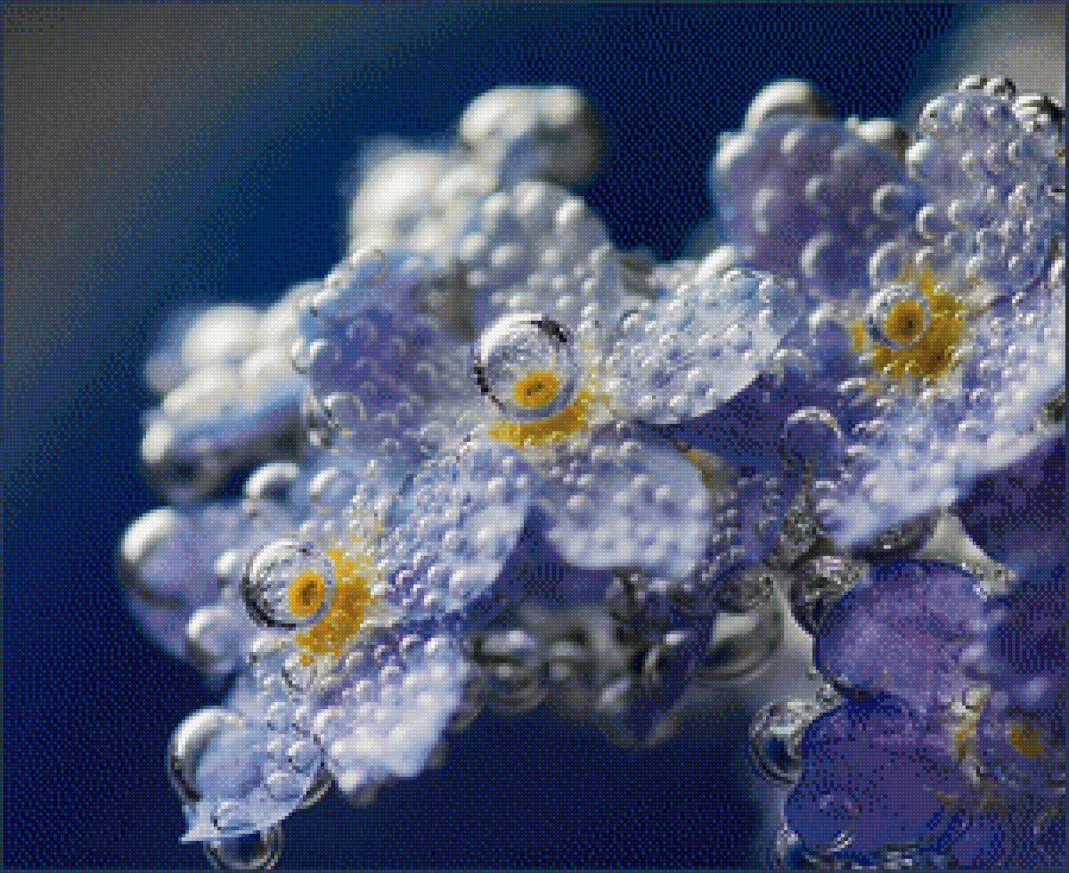 Роса на незабудках - роса, цветы, незабудки, утро, капли воды - предпросмотр