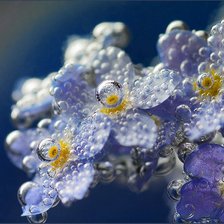 Схема вышивки «Роса на незабудках»