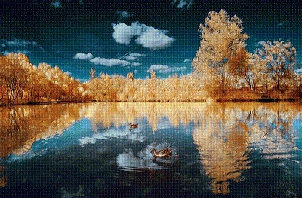 Осень в воде - осень, пейзаж, озеро с утками - предпросмотр