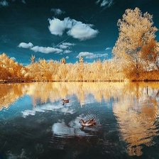 Осень в воде