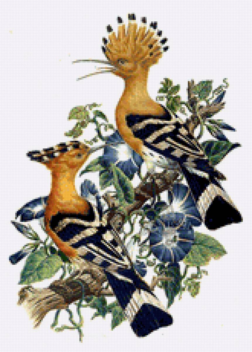 птицы - птицы - предпросмотр