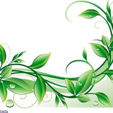 Схема вышивки «цветы»