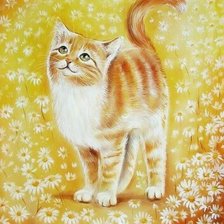 Схема вышивки «Котик в ромашках»