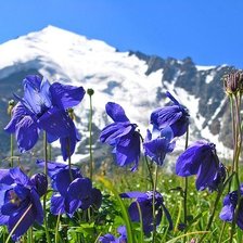 Схема вышивки «цветы на фоне гор»