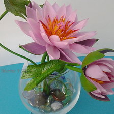 Схема вышивки «лотосы»