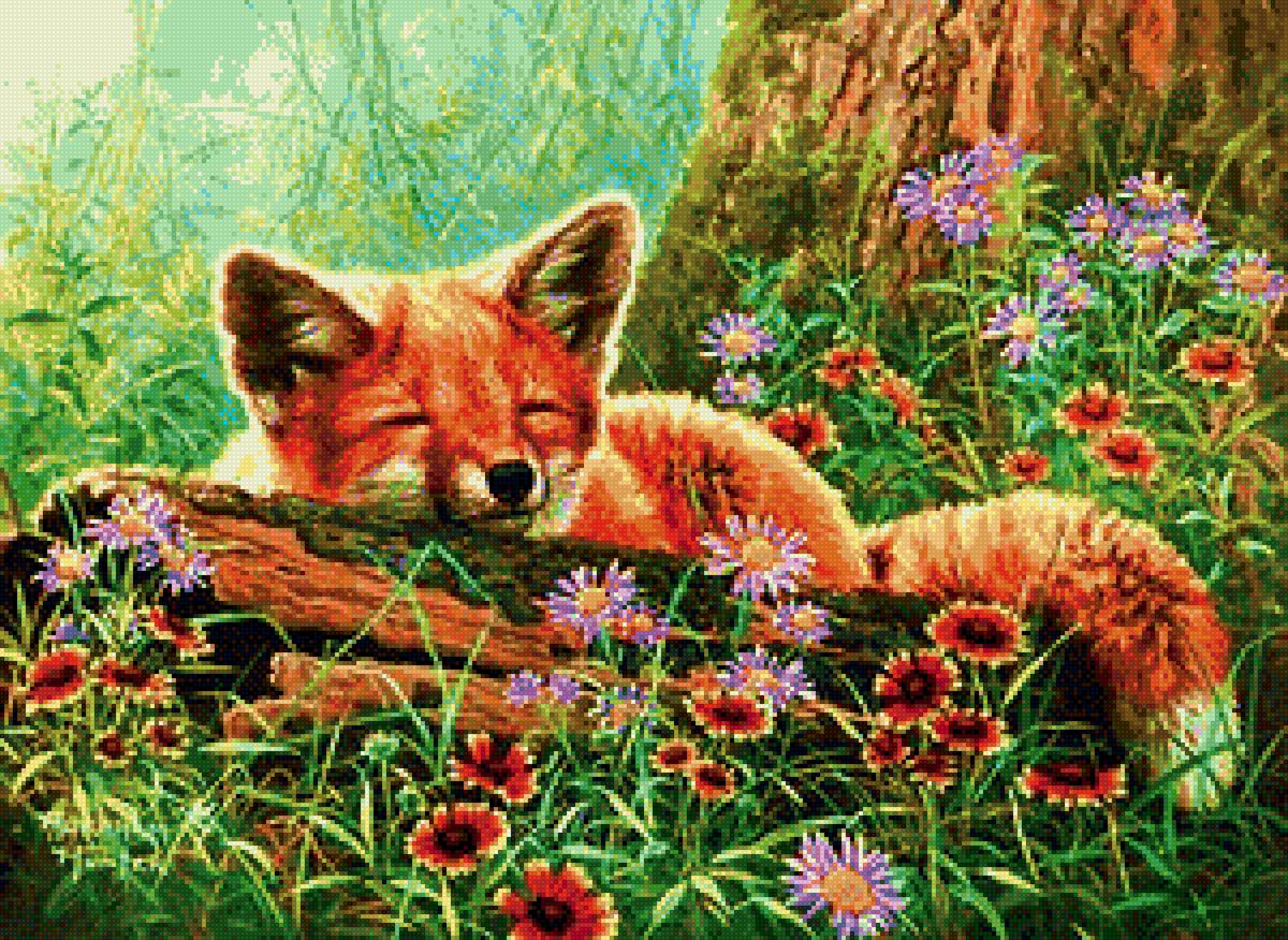 лисенок - дикие - предпросмотр