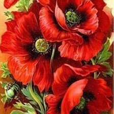 Схема вышивки «Маки»