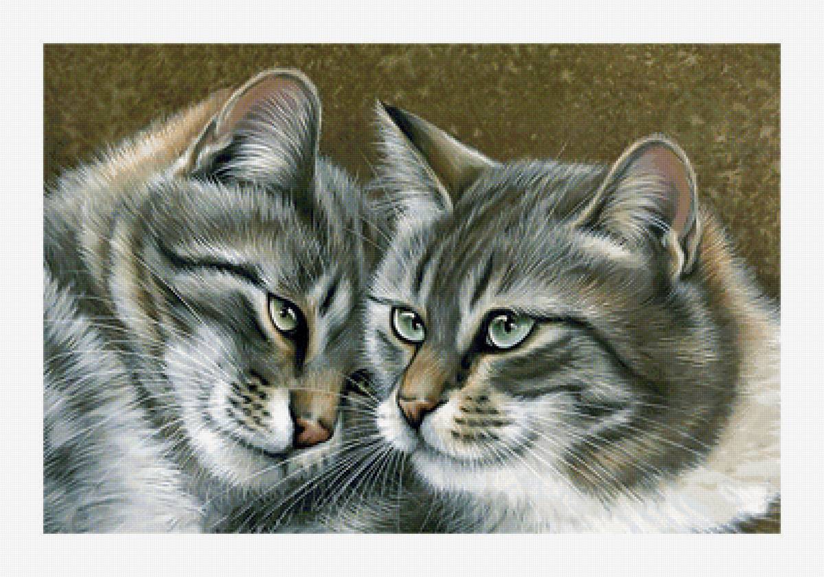 Серия "Коты". - коты, животные - предпросмотр