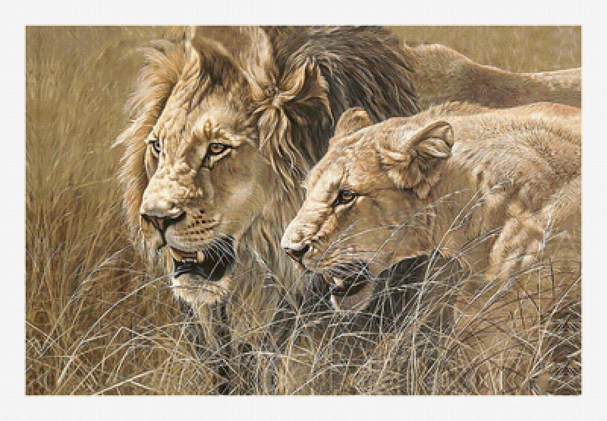 Серия "Хищники". - животные, хищники - предпросмотр