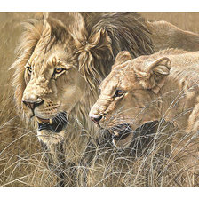 Схема вышивки «Серия "Хищники".»