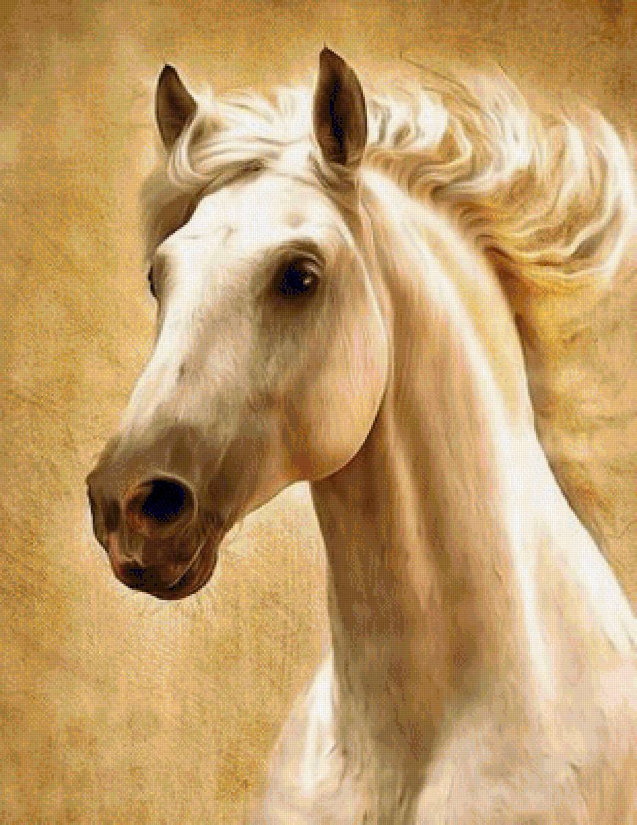 Лошадь - животные лошадь - предпросмотр