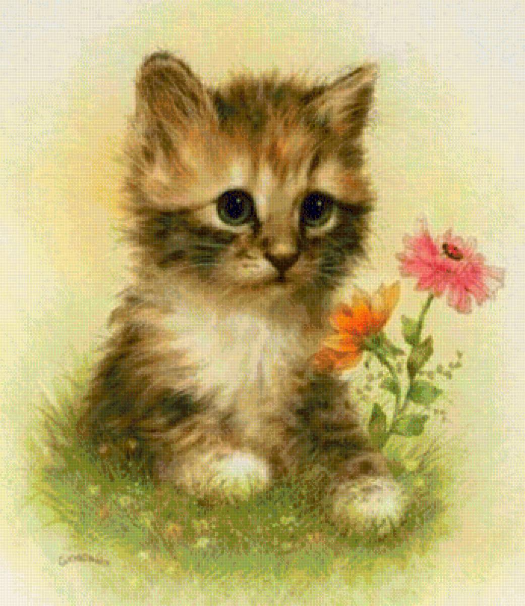 Котенок - котенок животные - предпросмотр