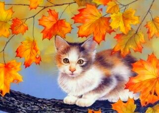 Котик в кленовых листьях - кот осень листья - оригинал