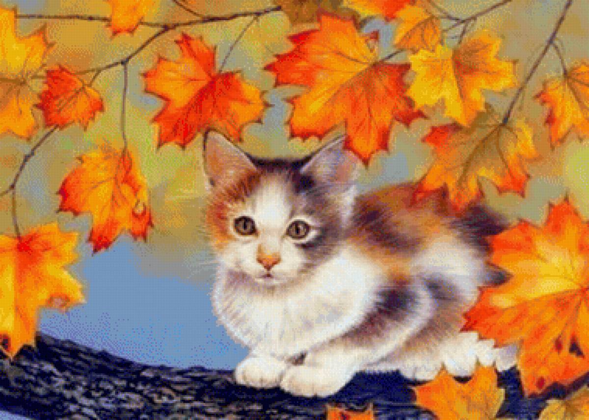 Котик в кленовых листьях - кот осень листья - предпросмотр