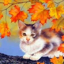 Схема вышивки «Котик в кленовых листьях»
