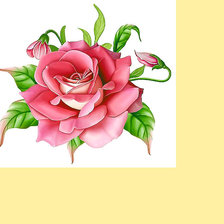 Схема вышивки «Серия "Розы".»