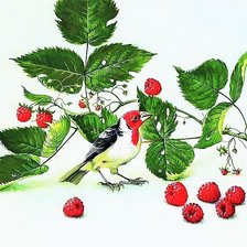 Схема вышивки «№1975643»